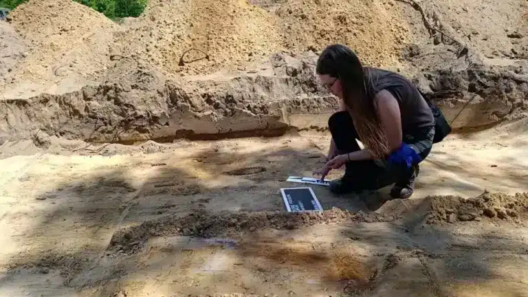 Badania archeologiczne na Brusie